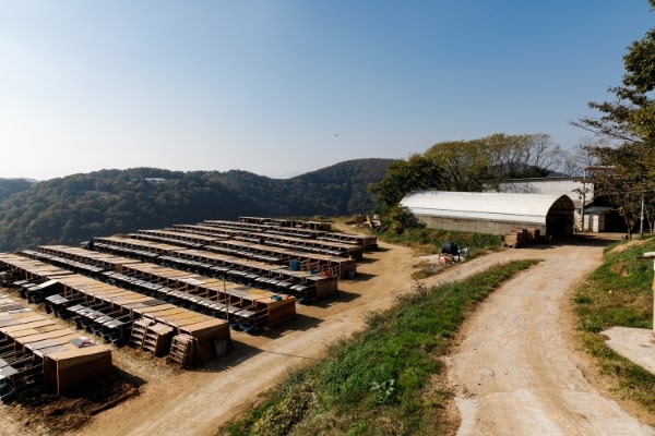 青峰牧場